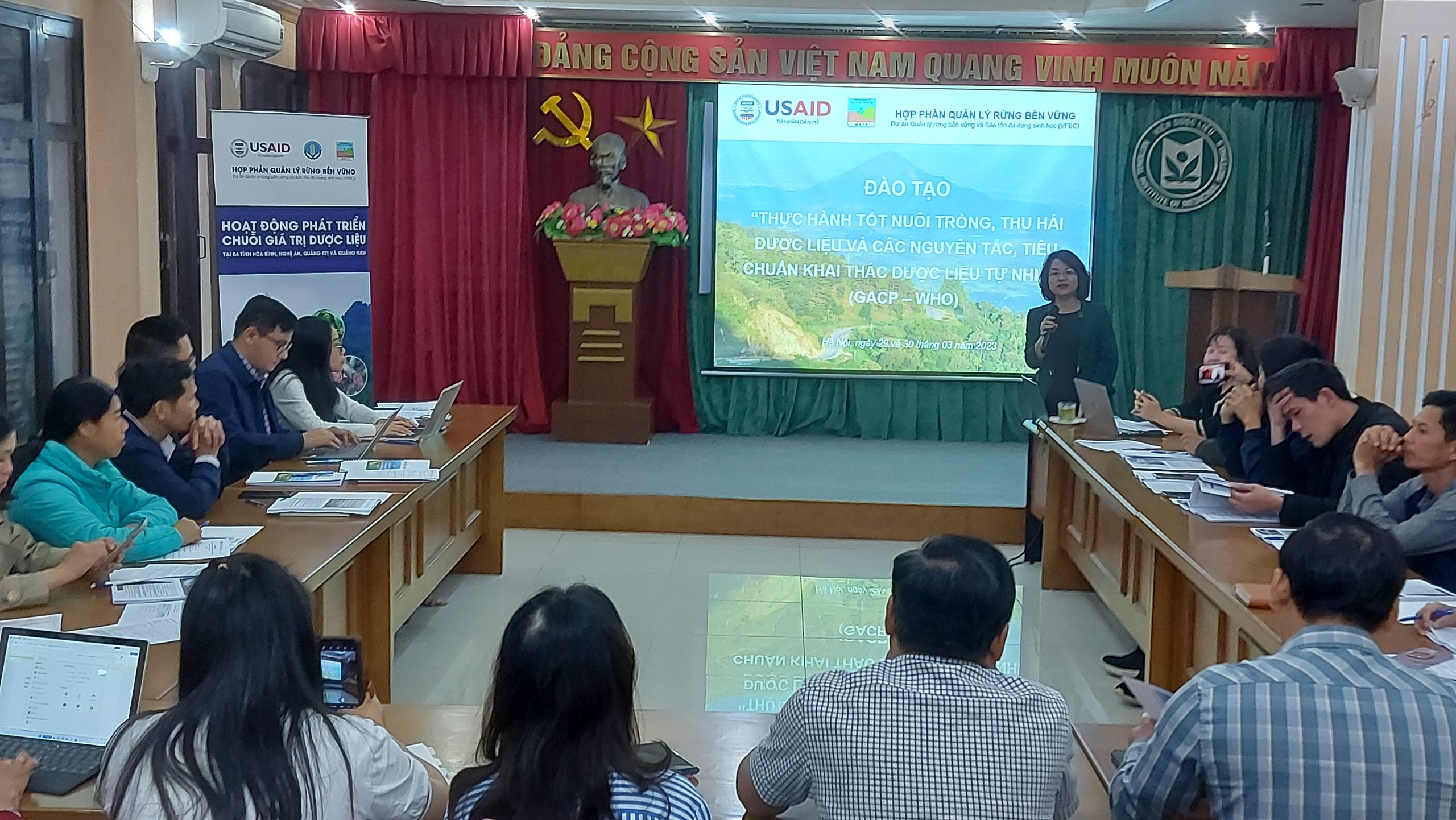 Không có ảnh